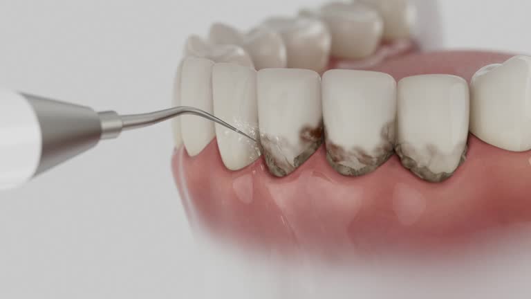 Reliable Dental contractor in Port St. Joe, FL by Dentist Open Now
